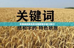 瓦朗谢纳球员在法国联赛中奋力前行