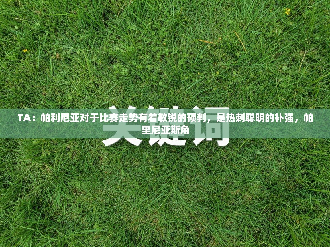 TA:帕利尼亚对于比赛走势有着敏锐的预判,是热刺聪明的补强,帕里尼亚斯角 第2张
