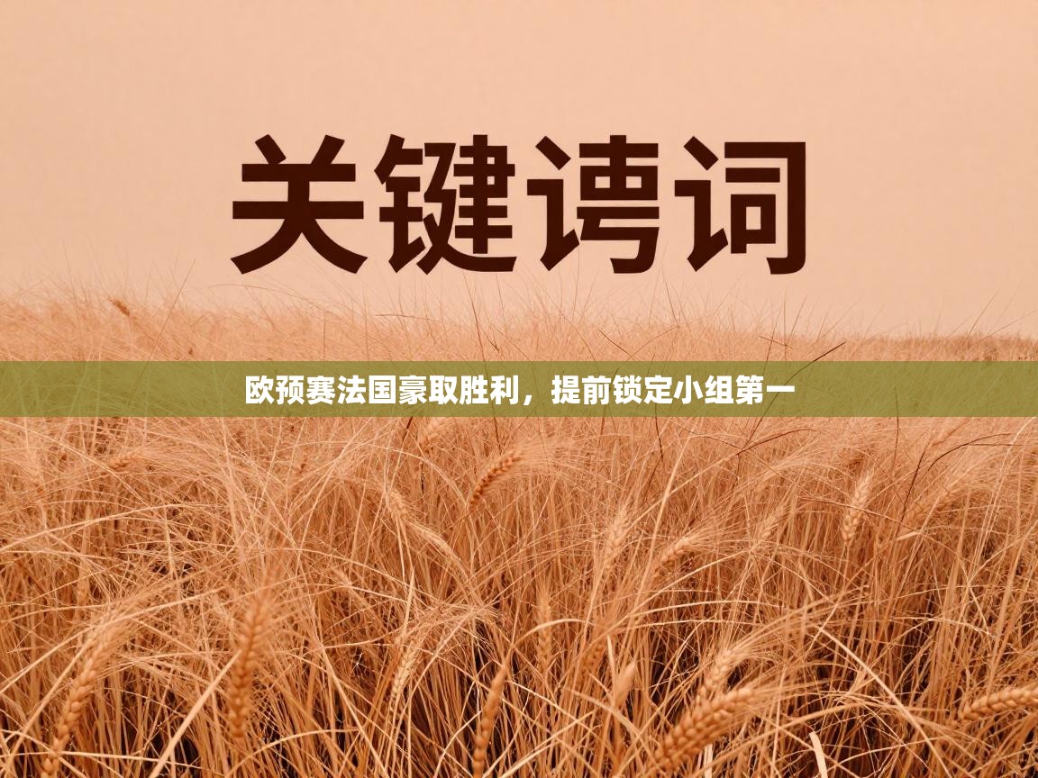 欧预赛法国豪取胜利，提前锁定小组第一  第2张