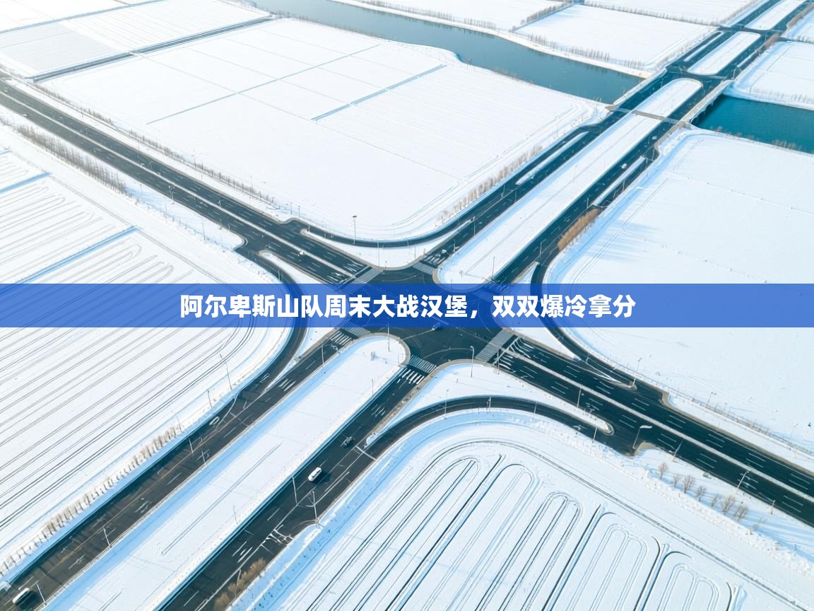 阿尔卑斯山队周末大战汉堡，双双爆冷拿分  第1张